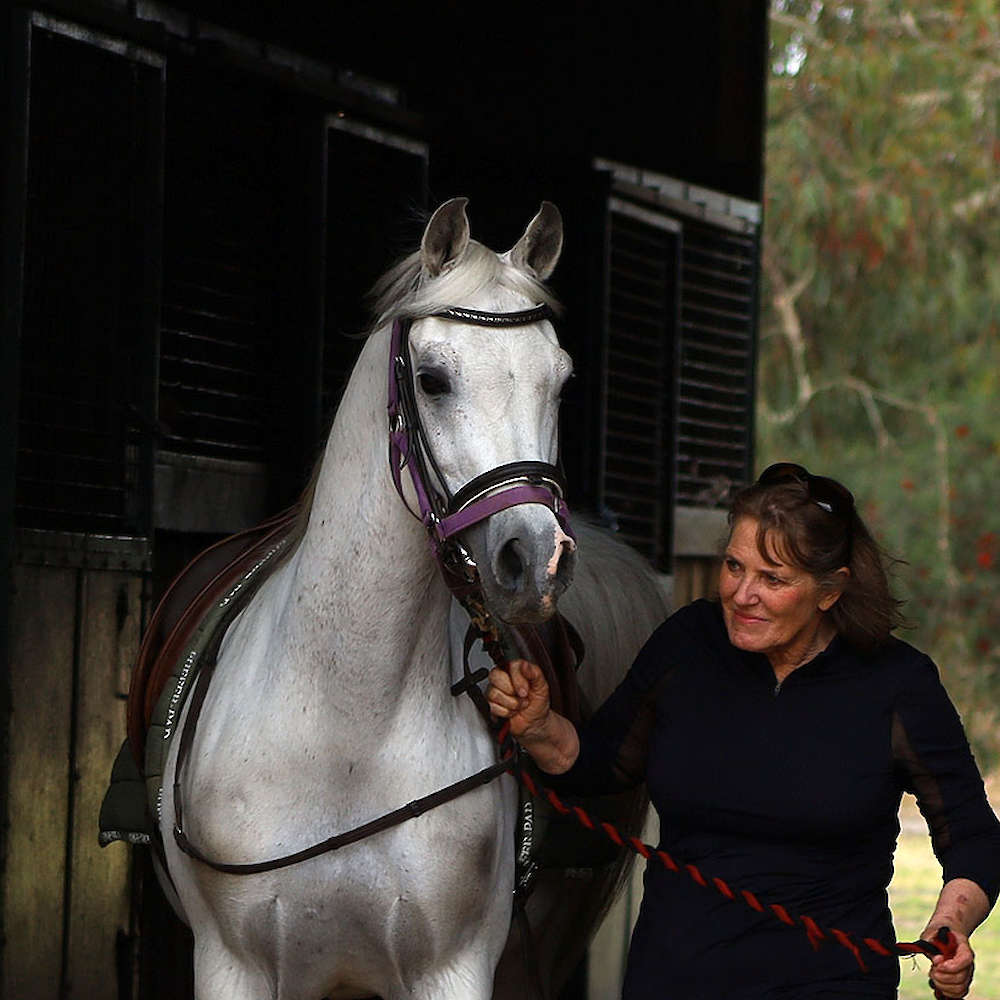 Marbling Lutana (AU)