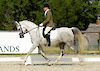 Sunne in Silver (GB)