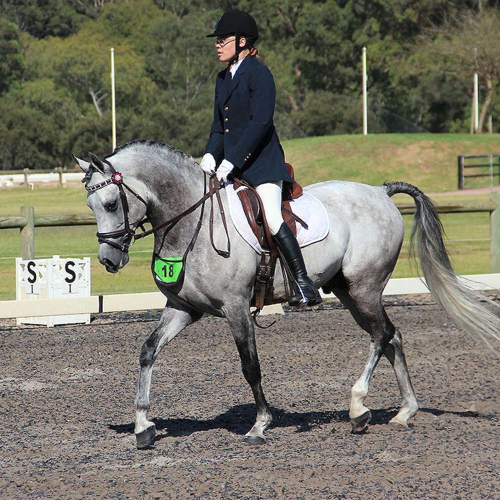 Marbling Aden (AU)