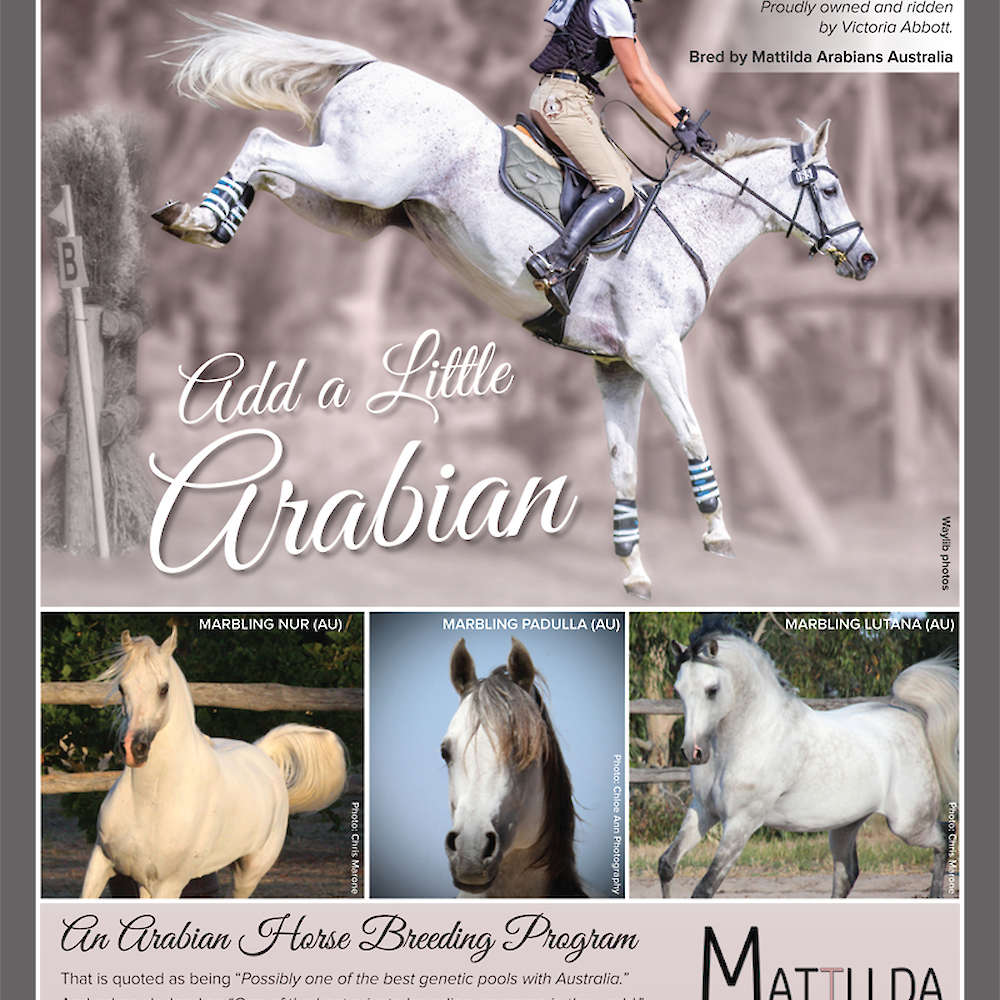 'Add a Little Arabian'