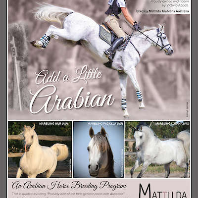 'Add a Little Arabian'