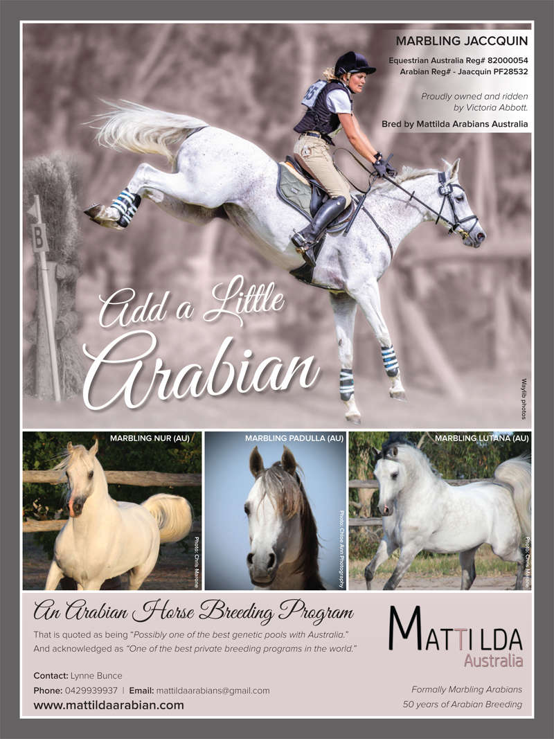 Add a little Arabian.