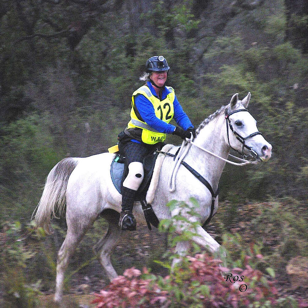 Marbling N'Elle - Arabian Endurance Mare with Karen Karlovsky. C Ros Photo.