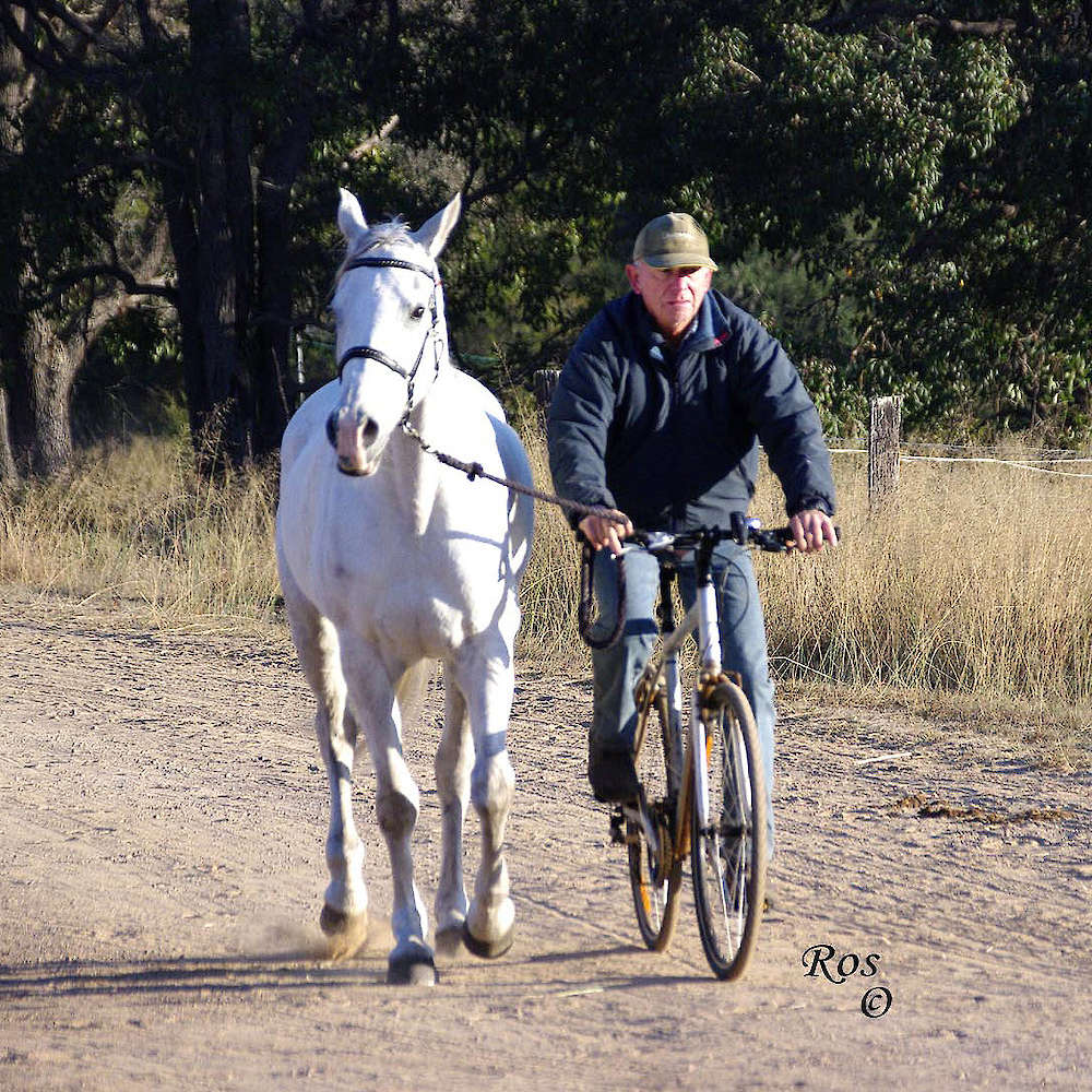 Marbling N'Elle - Arabian Endurance Mare with Bernie Morris. C Ros photo
